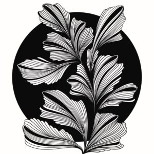 Product 7